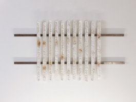 Annick Ligtermoet